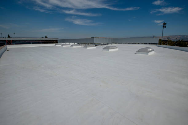 Best Cold Roofs  in Sunnyvale, TX