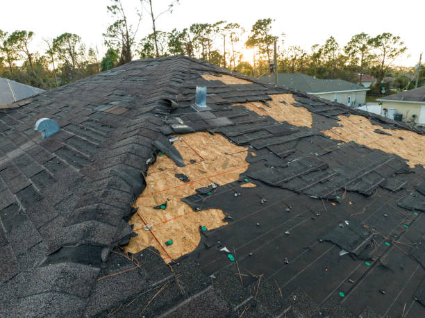 Best Commercial Roofing Services  in Sunnyvale, TX