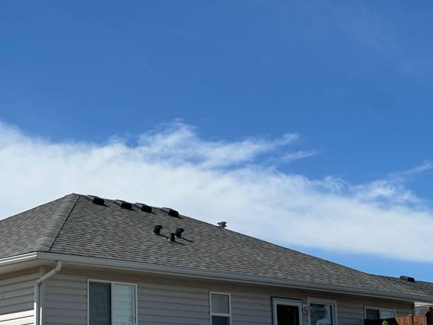 Best Sheet Metal Roofing  in Sunnyvale, TX